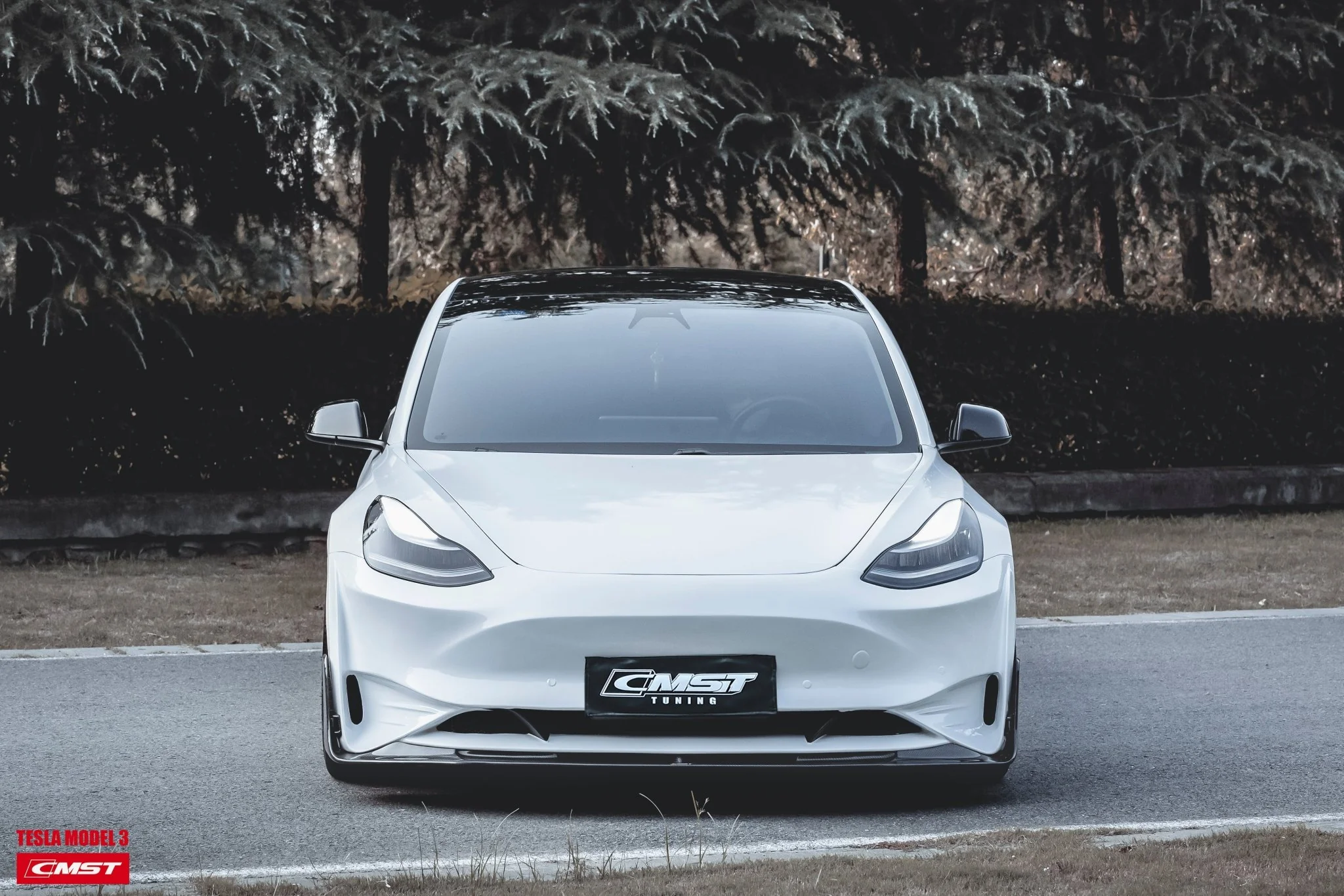CMST Tuning Carbon Fiber Front Bumper & Front Lip for Tesla Model 3 Ver.2 - Image 8