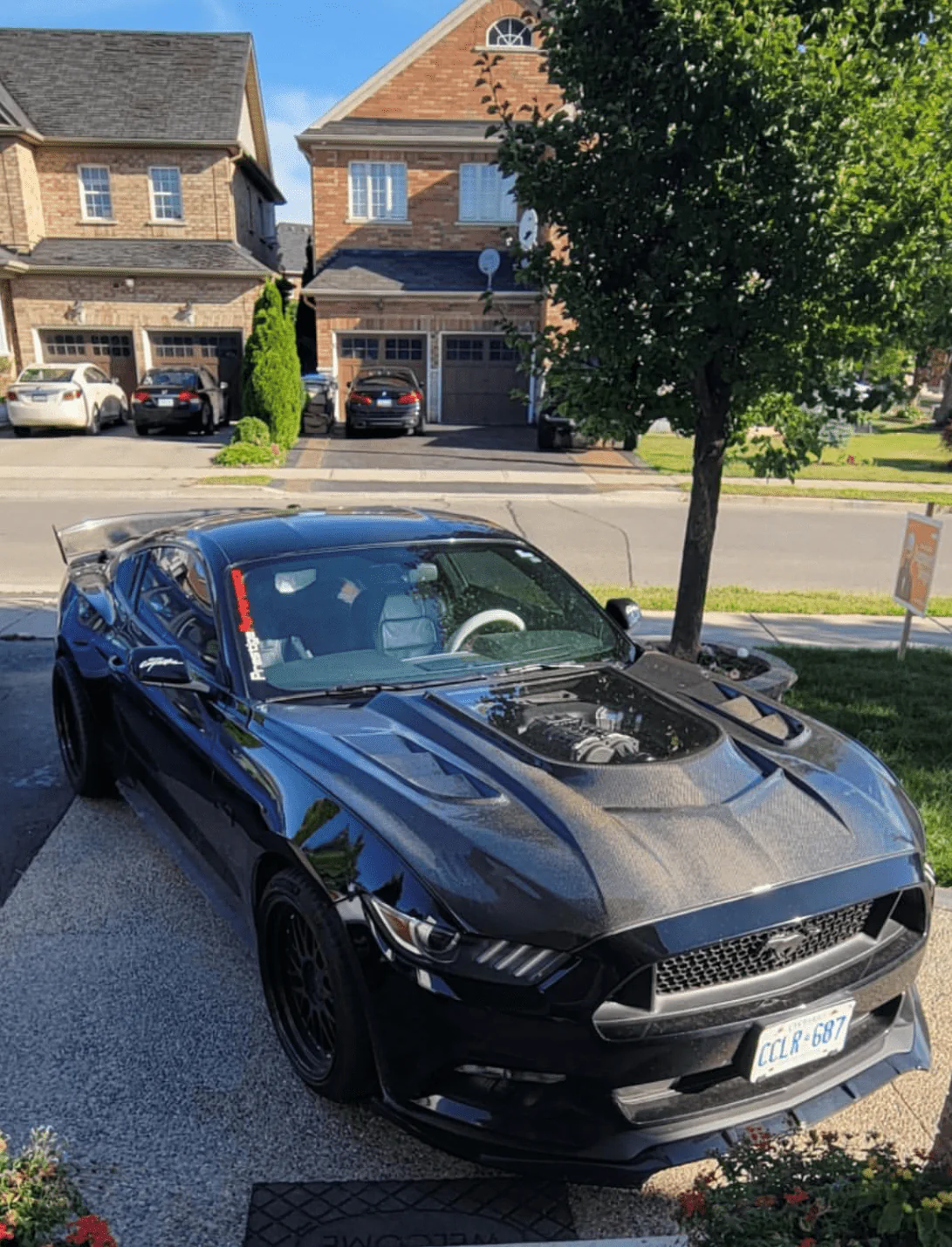 CMST Carbon Fiber Glass Transparent Hood Stage 2 ( Raised 2 inches ) for Ford Mustang S550.1 2015- 2017 - Image 3