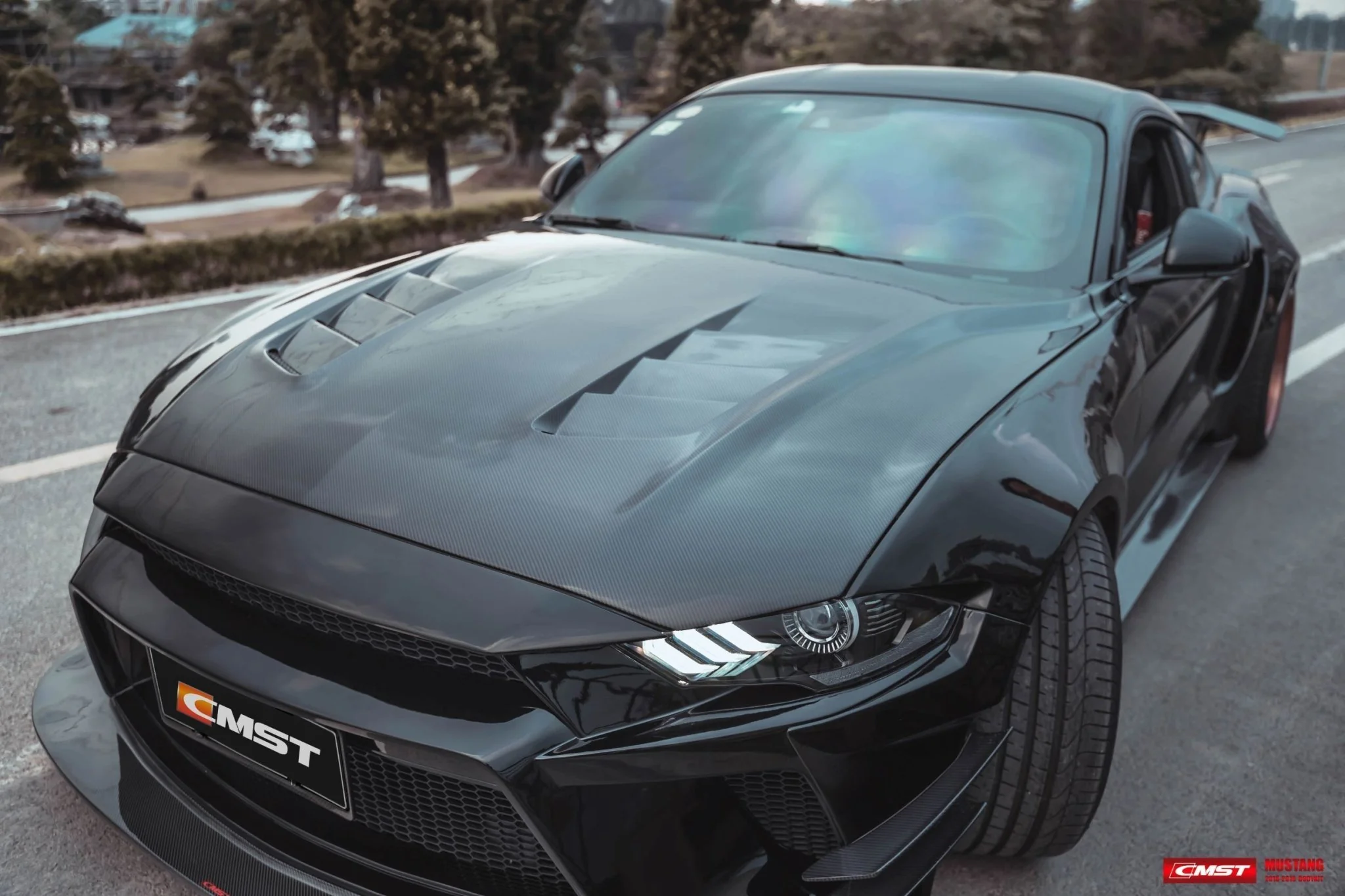CMST Carbon Fiber Hood Ver.1 for Ford Mustang S550.2 2018-ON - Image 7